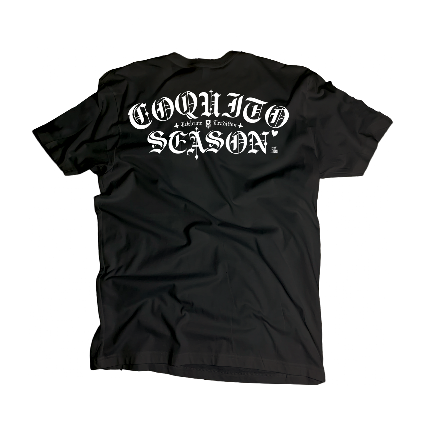 CSV-Brand Varsity Logo